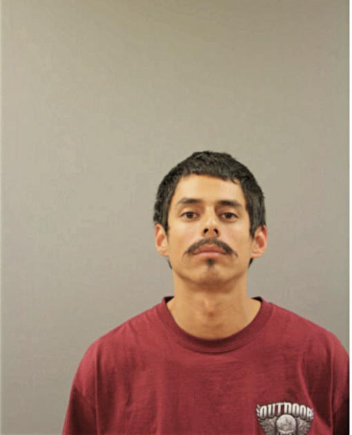 CHRYSTIAN A REYES, Cook County, Illinois