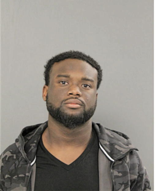 THADDEUS A SCOTT-CHEW, Cook County, Illinois