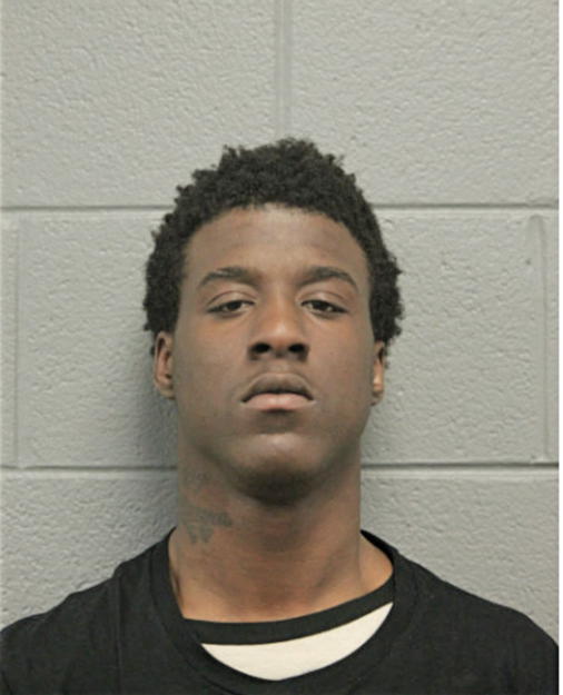 MICHAEL C STEWARD, Cook County, Illinois