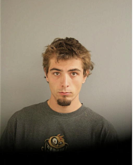 NICHOLAS C SVOBODA, Cook County, Illinois