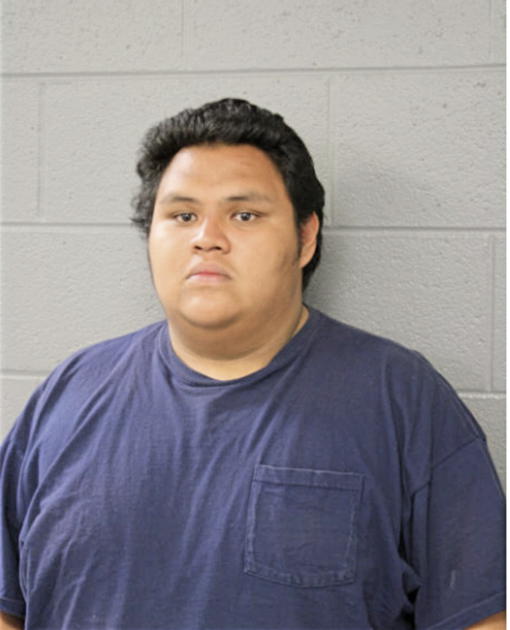 JOSE F TORRES, Cook County, Illinois