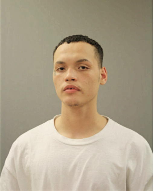 DAVY J VASQUEZ, Cook County, Illinois