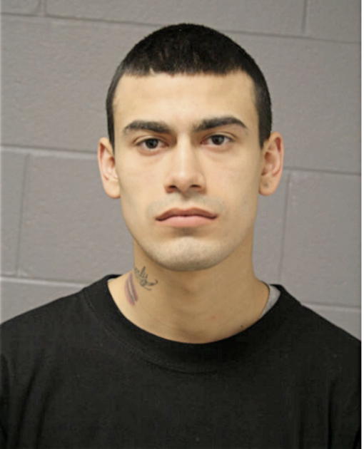 JOSE A VEGA, Cook County, Illinois