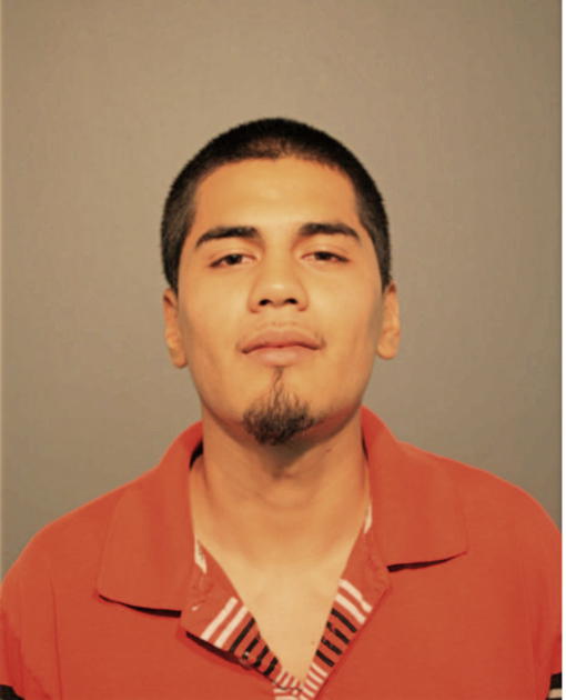 CARLOS ACUNA, Cook County, Illinois
