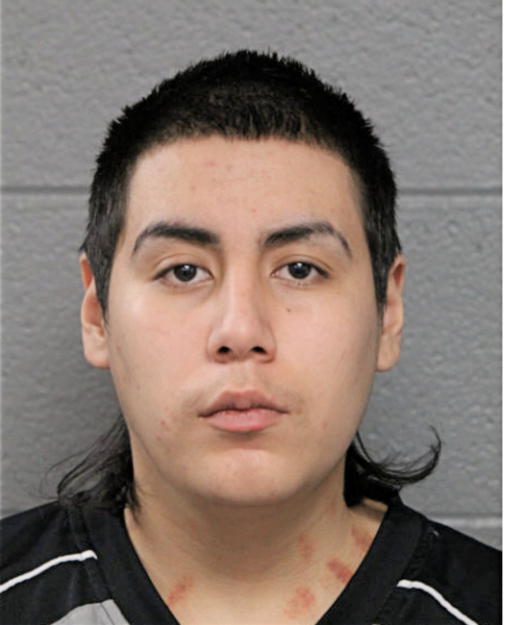 BRIAN I AVILA, Cook County, Illinois