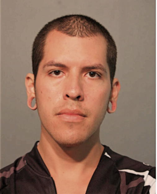 EMANUEL AVILES, Cook County, Illinois