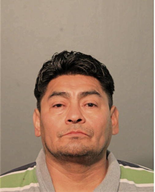 GABRIEL BIBIANO-ANALCO, Cook County, Illinois