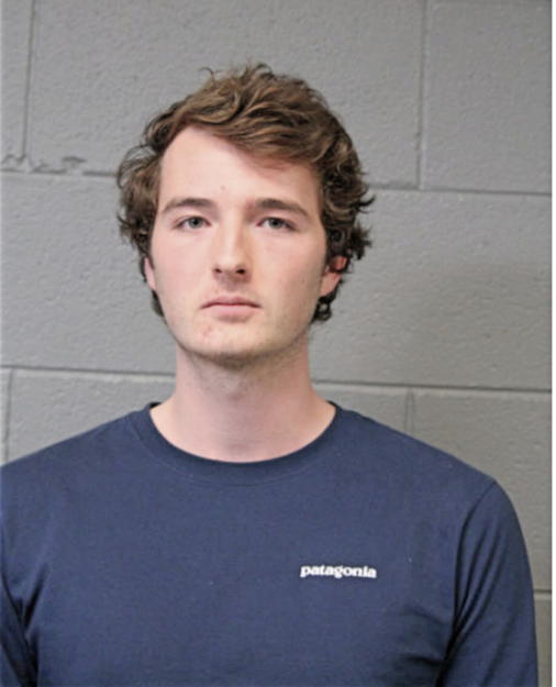 JOSHUA DAVID BONE, Cook County, Illinois