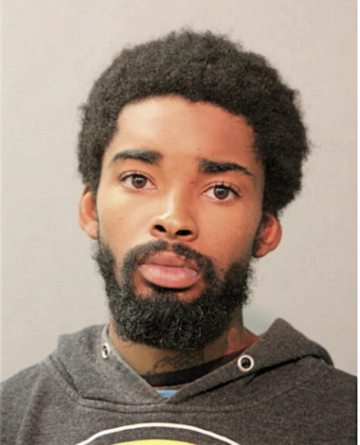 ROBERT D BROWN, Cook County, Illinois