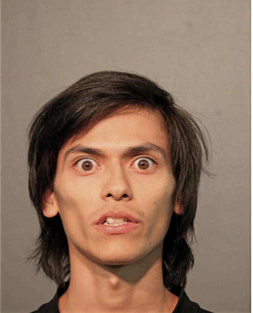 CARLOS CALIX, Cook County, Illinois