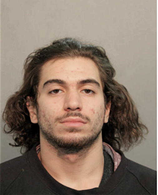 CHRISTIAN P CRUZ, Cook County, Illinois