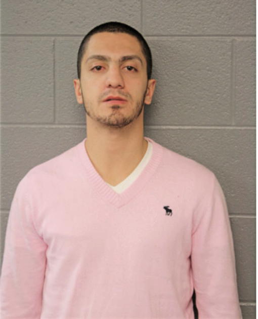 TONY D DANYAL, Cook County, Illinois