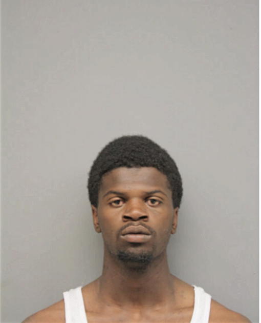 ROBERT M DAVIS, Cook County, Illinois