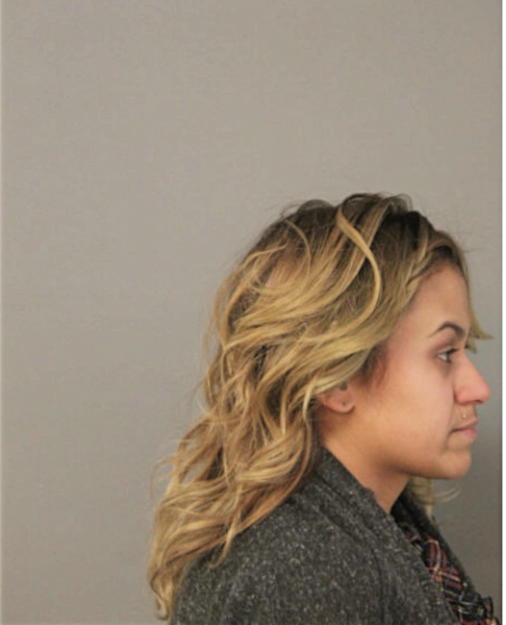 ELENA D DIAZ, Cook County, Illinois