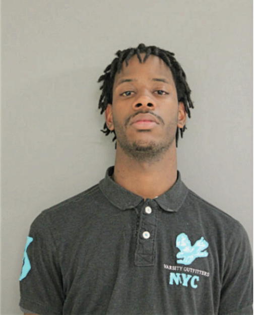 DEMARLO B DULANEY, Cook County, Illinois