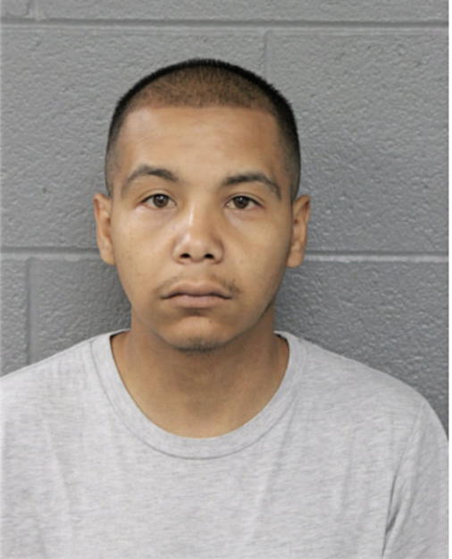 BRIAN FLORES, Cook County, Illinois
