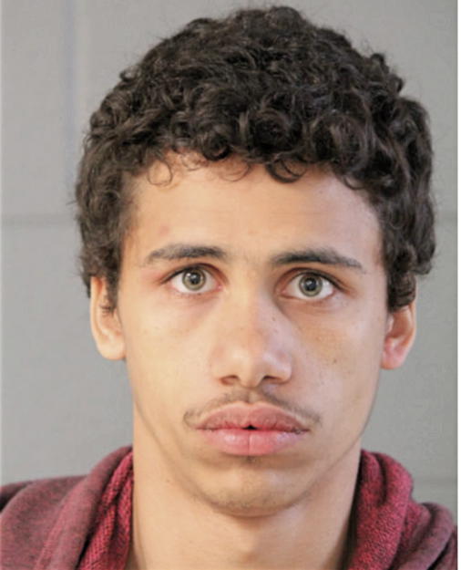 DEONTE FLOWERS, Cook County, Illinois