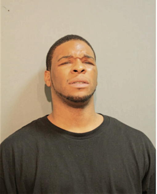 MICHAEL W GODARD, Cook County, Illinois