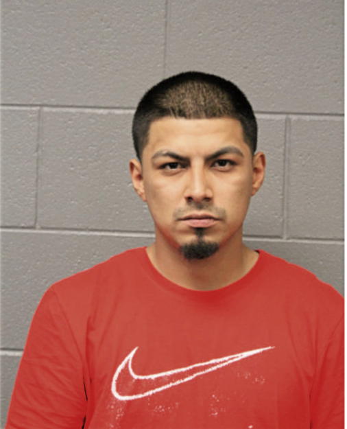 JOSHUA GONZALEZ, Cook County, Illinois
