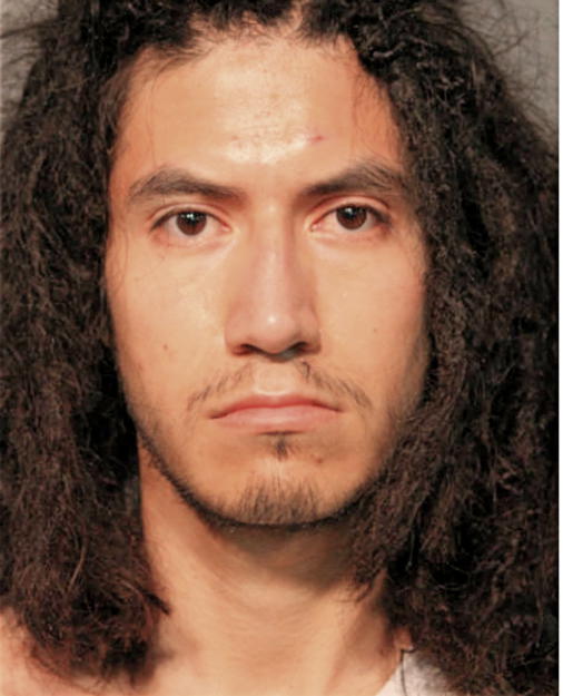 JONATHAN C GUZMAN, Cook County, Illinois