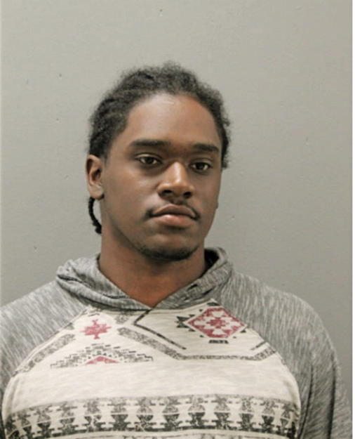 WAYLAND C JOHNSON, Cook County, Illinois