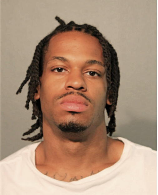 MIZANI LALLEMAND, Cook County, Illinois