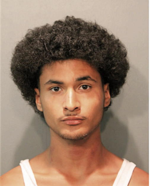 ADOLFO LOPEZ, Cook County, Illinois