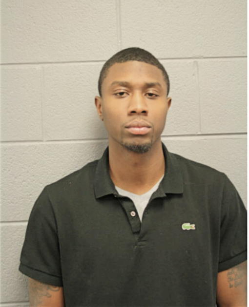 WESLEY M LOVE, Cook County, Illinois