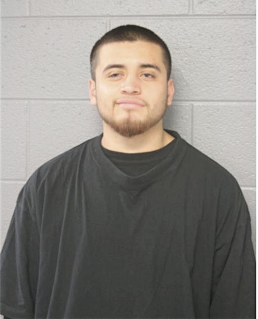 DUARTE C LUIS, Cook County, Illinois