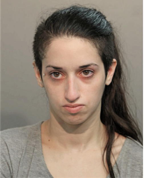 MEGAN L MANES, Cook County, Illinois