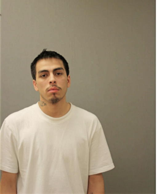 EDWIN H MARTINEZ-SOLIS, Cook County, Illinois