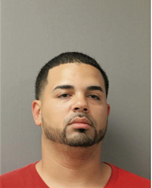 CARLOS M MENDEZ, Cook County, Illinois