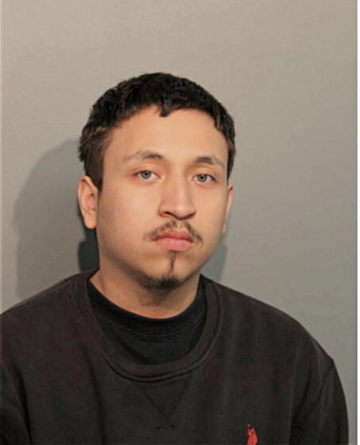 DAVID NAVARRO, Cook County, Illinois