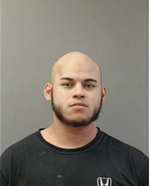 DAVID A NORIEGA, Cook County, Illinois
