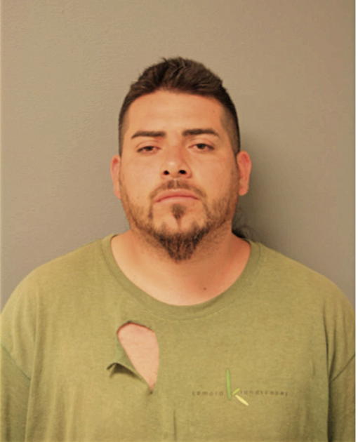 LUIS NUNEZ, Cook County, Illinois