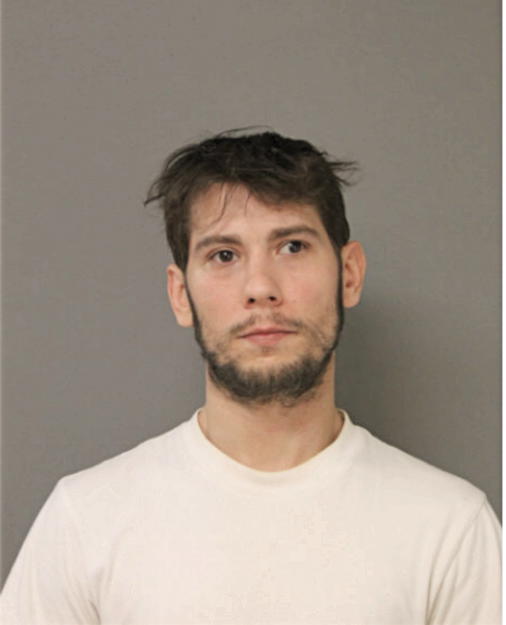 NICHOLAS A PALUMBO, Cook County, Illinois