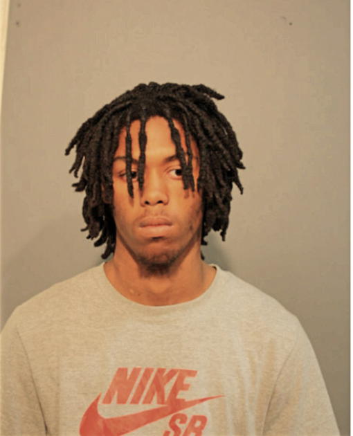DIRK D PARKER, Cook County, Illinois