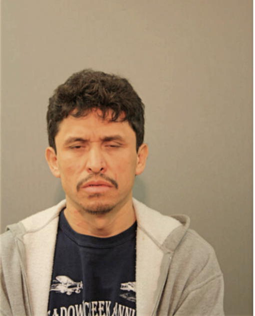 SALVADOR SEGURA, Cook County, Illinois