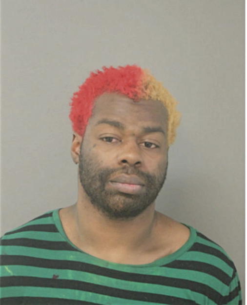 RONALD L SHANKLIN, Cook County, Illinois