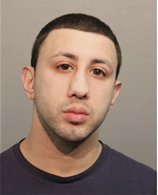 HADI SHARABI, Cook County, Illinois