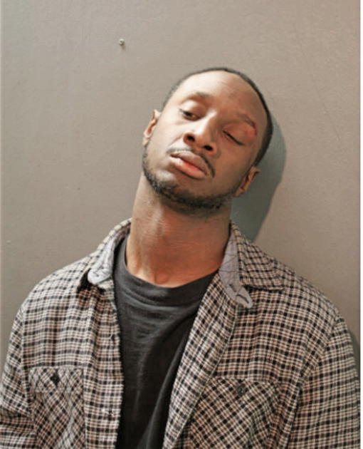 LEWIS G SIMS, Cook County, Illinois