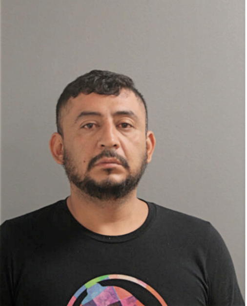 JUAN M SOTELO, Cook County, Illinois