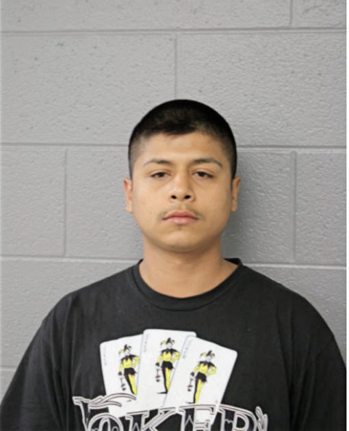 MIGUEL ISRAEL TORRES, Cook County, Illinois