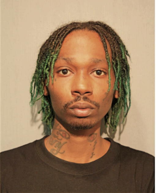 ANTHONY J TURKS, Cook County, Illinois