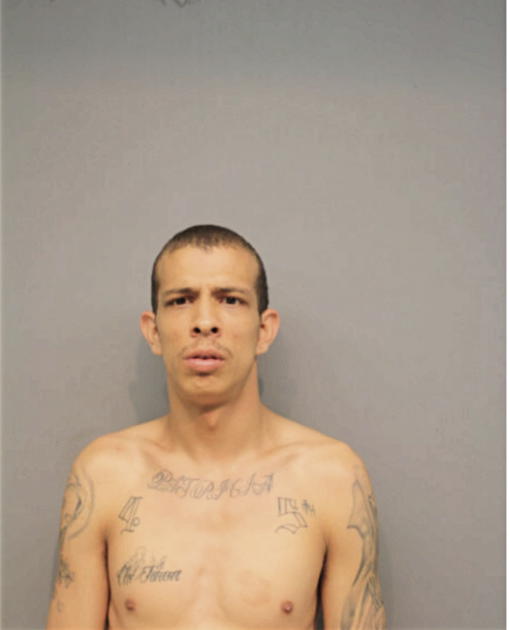 DIEGO J VARGAS, Cook County, Illinois