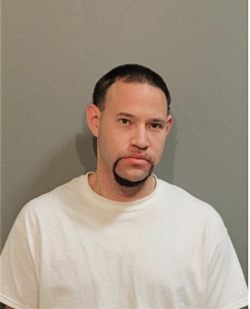 ALFONSO J VENEGAS, Cook County, Illinois