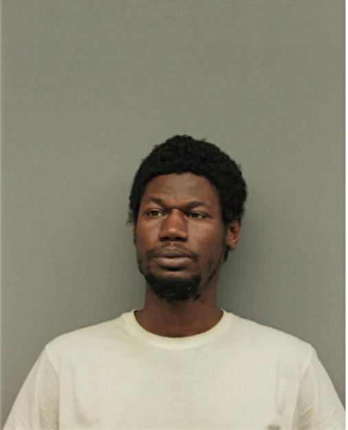 DEJOIE WILLIAMS, Cook County, Illinois