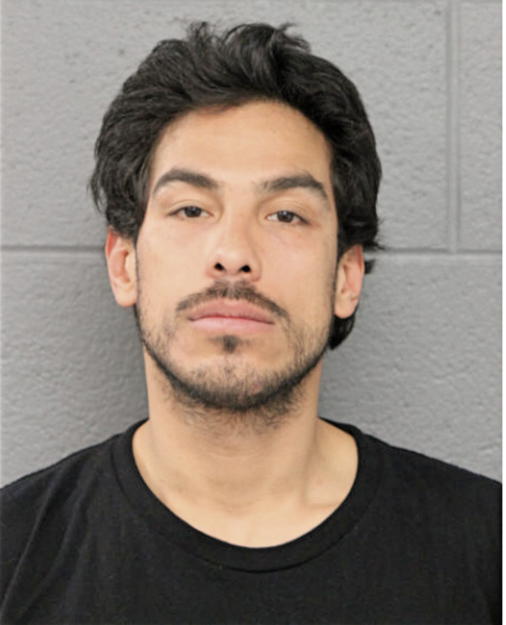 ENRIQUE ZAMORA, Cook County, Illinois