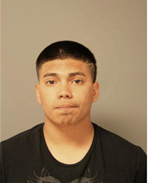 JUAN M BRAVO, Cook County, Illinois