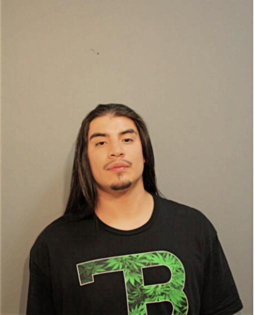 JESSE J CHAVEZ, Cook County, Illinois